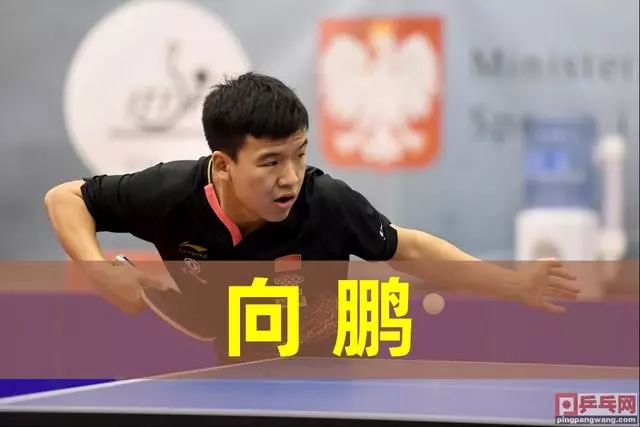 种特别的体 种特别的体